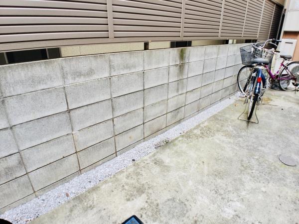 4/11 その他画像