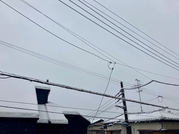 15/17 その他画像