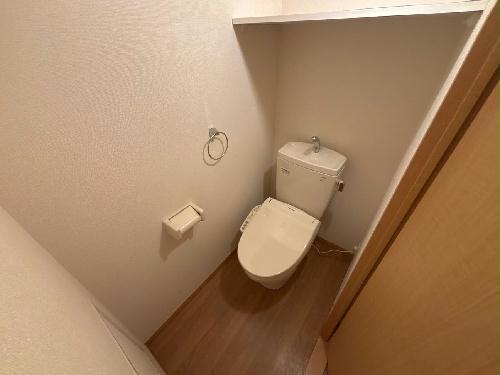 8/14 その他画像