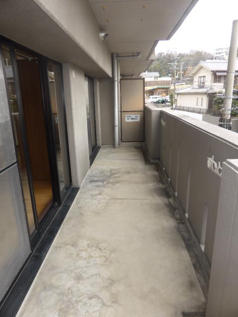 11/15 その他画像