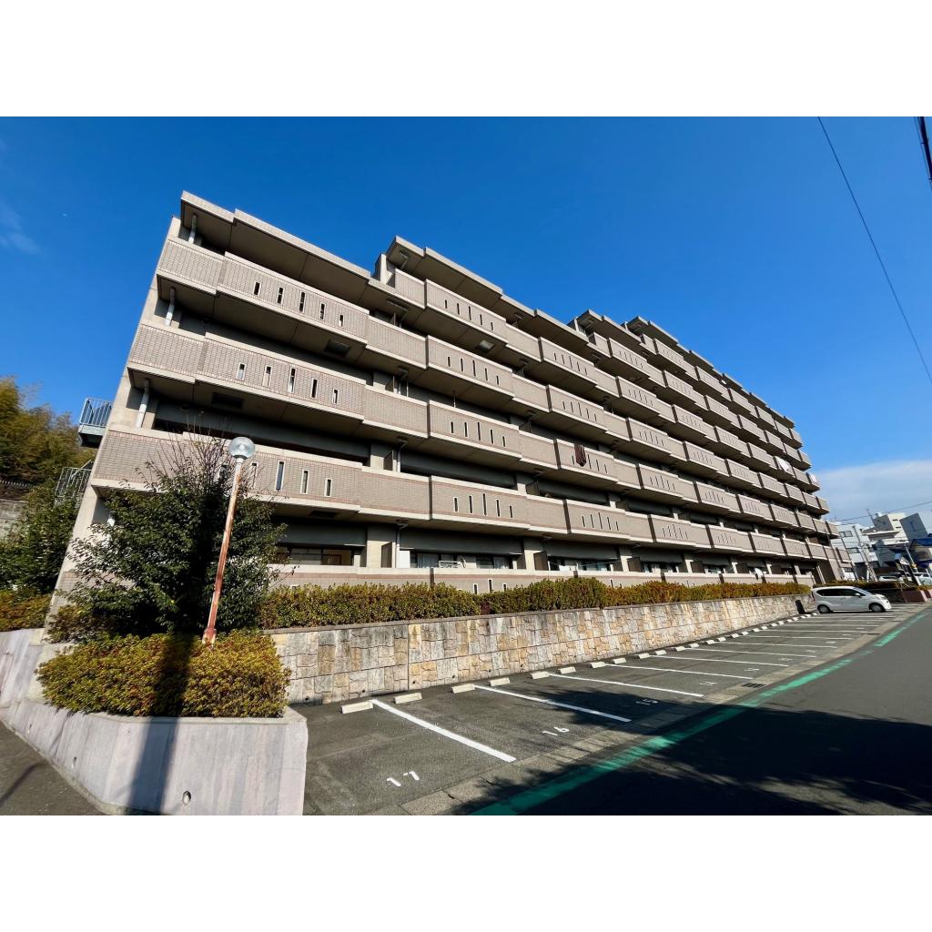 7/15 その他画像