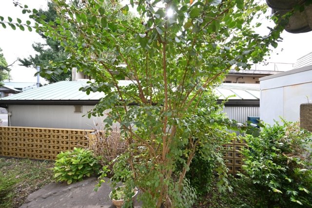 19/24 その他画像