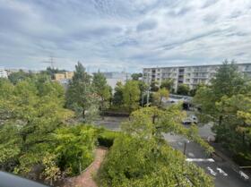 13/16 その他画像