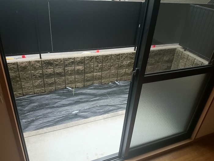 12/25 その他画像