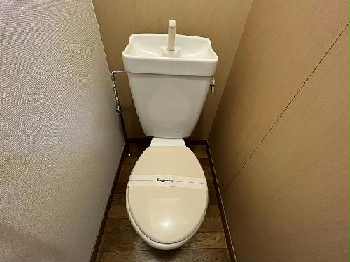 6/13 その他画像