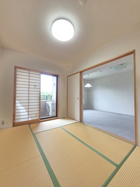 11/11 その他画像