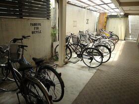 13/13 その他画像