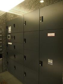 15/16 その他画像