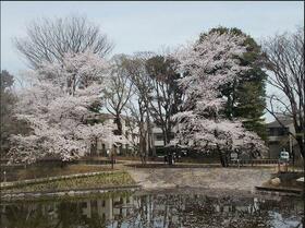 14/15 その他画像