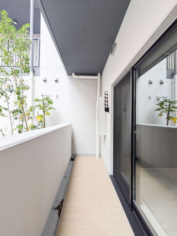 8/19 その他画像