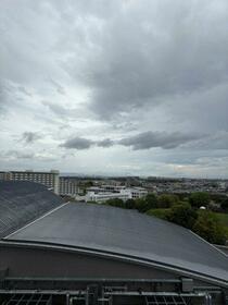 14/14 その他画像