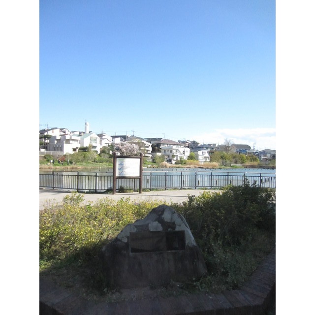 4/17 その他画像