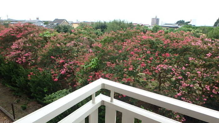 12/28 その他画像