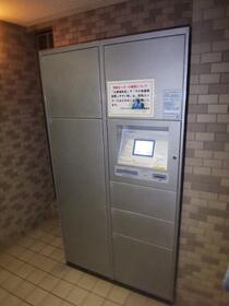 15/16 その他画像