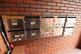 15/15 その他画像