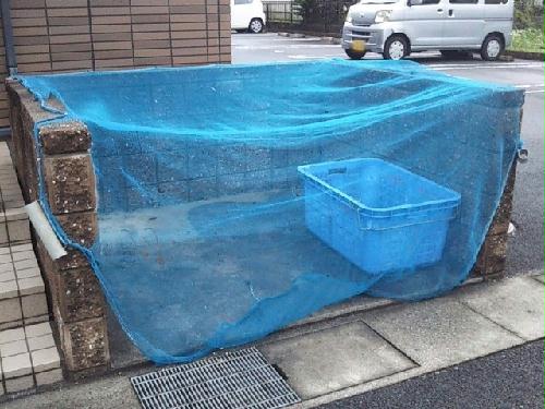 8/13 その他画像