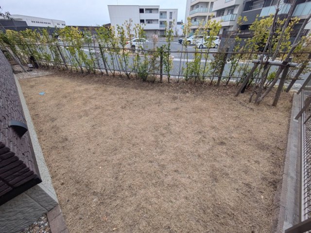 15/18 その他画像