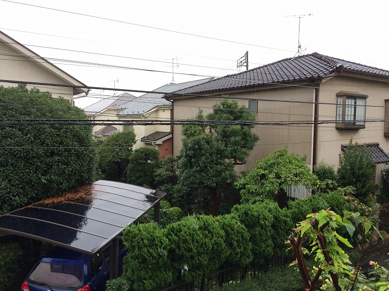 15/19 その他画像