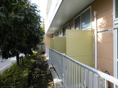 12/18 その他画像