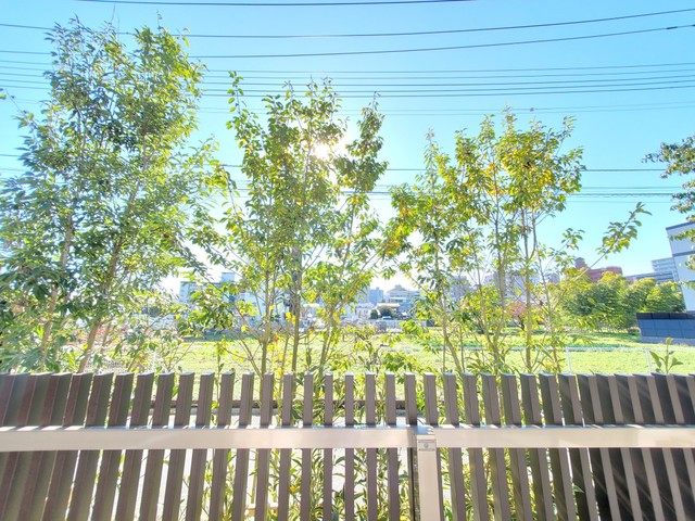 16/24 その他画像