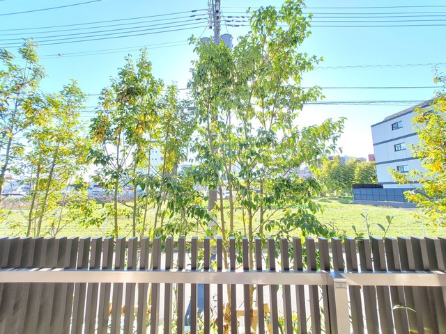 14/21 その他画像