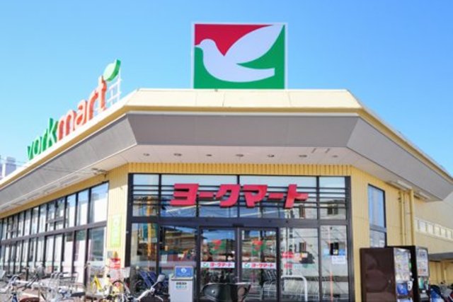 24/29 その他画像