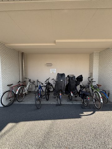 21/24 その他画像