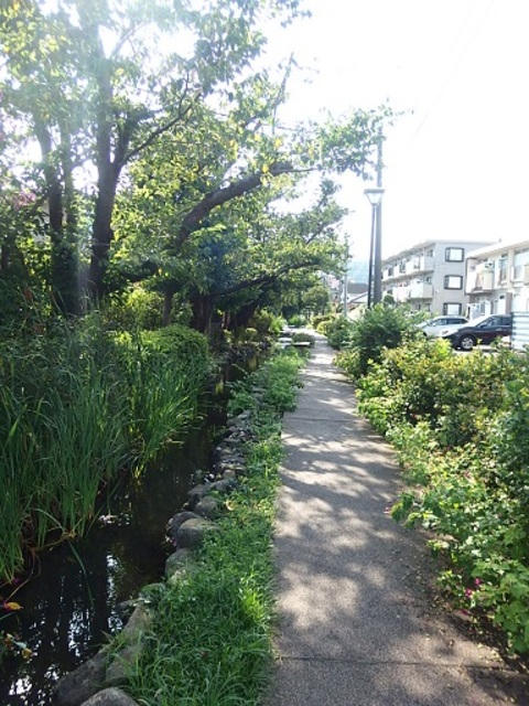 26/29 その他画像