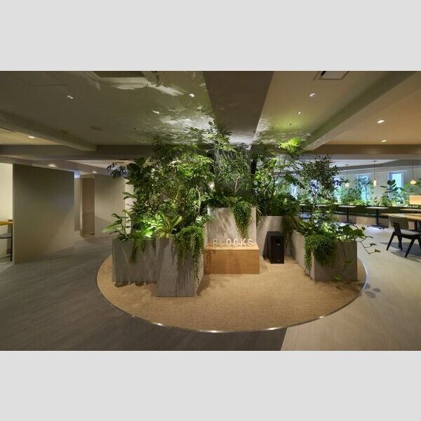 6/18 その他画像