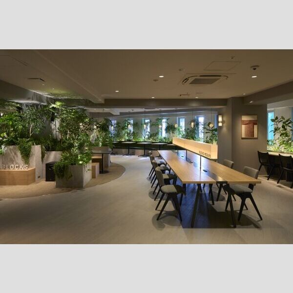 8/18 その他画像