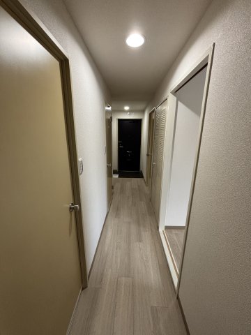 29/29 その他画像