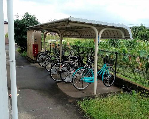 11/14 その他画像