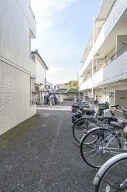 6/11 その他画像