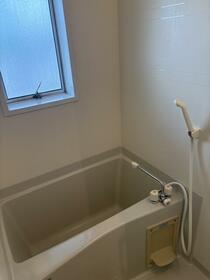 6/11 その他画像