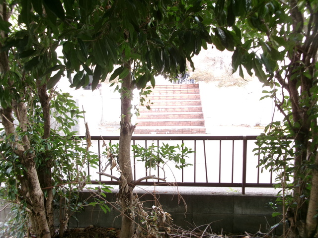 20/21 その他画像