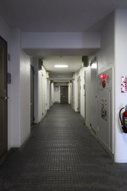 4/11 その他画像