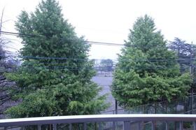 16/21 その他画像