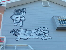 15/26 その他画像