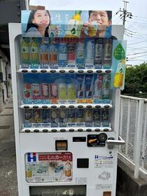 13/13 その他画像