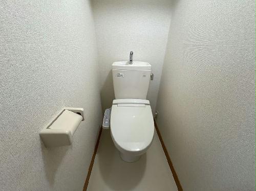 8/14 その他画像