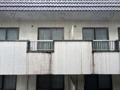 11/24 その他画像