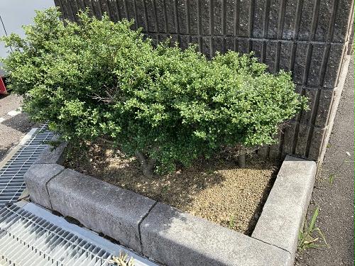 3/18 リビング/ダイニング