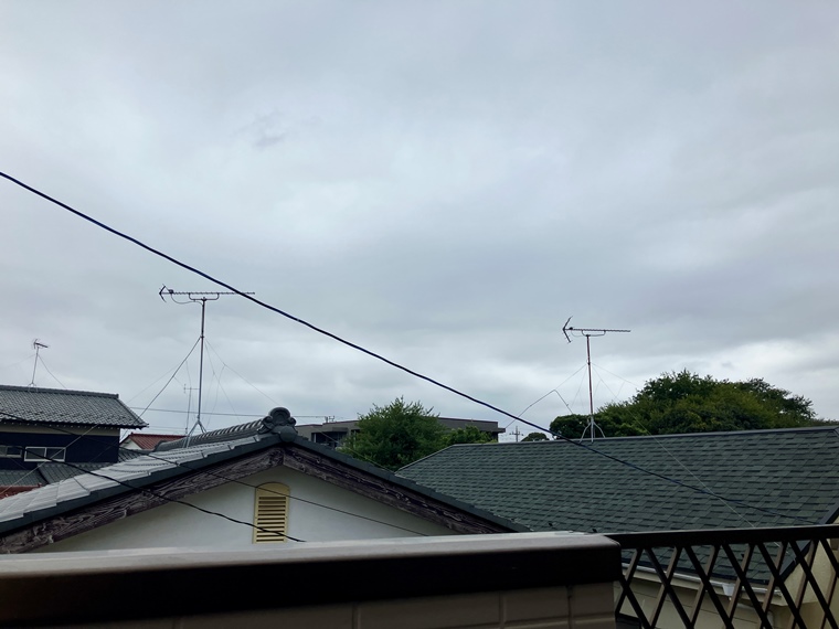 15/19 その他画像