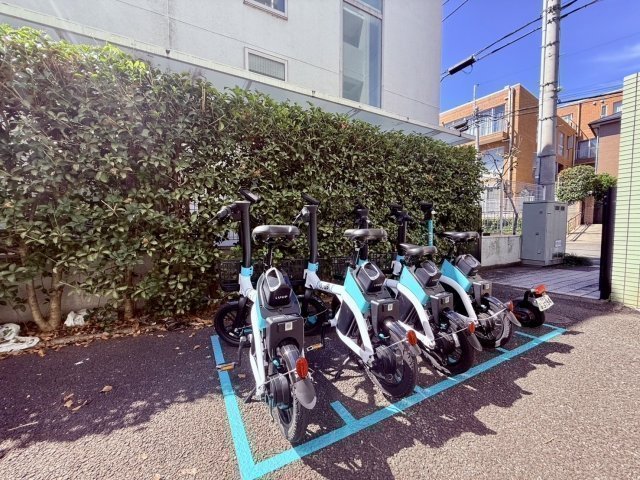 8/14 その他画像