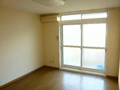 11/11 その他画像