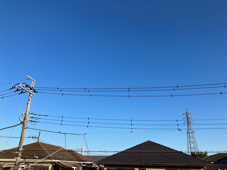 14/21 その他画像