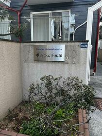 11/11 その他画像