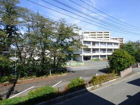 14/23 その他画像