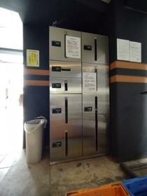 13/13 その他画像