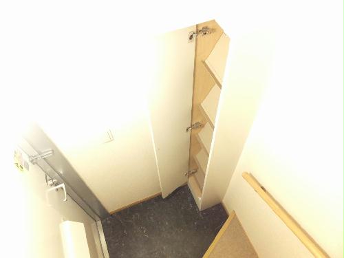 11/14 その他画像